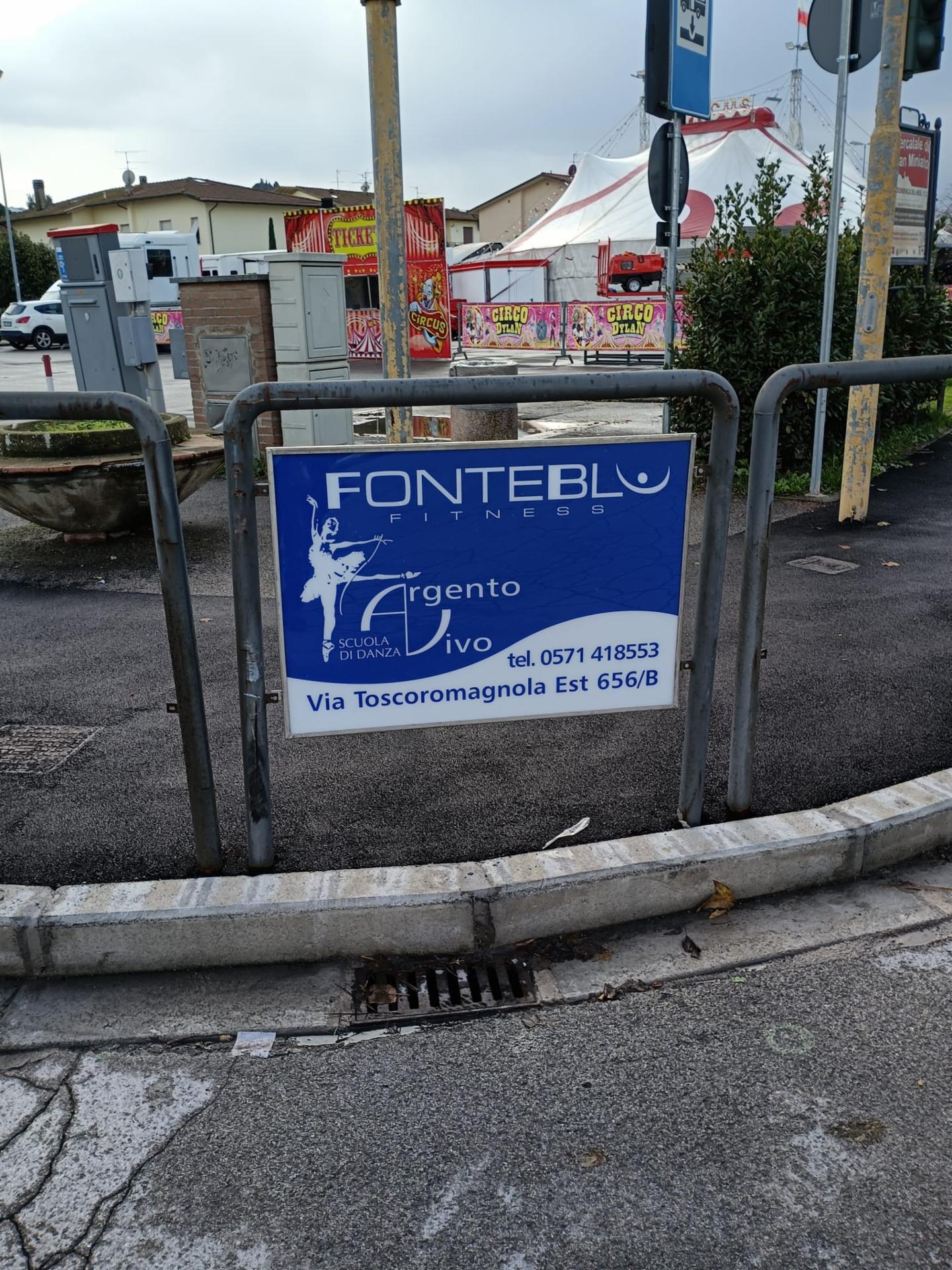 Impianto TRANSENNA a San Miniato, in zona Locanda pinocchio