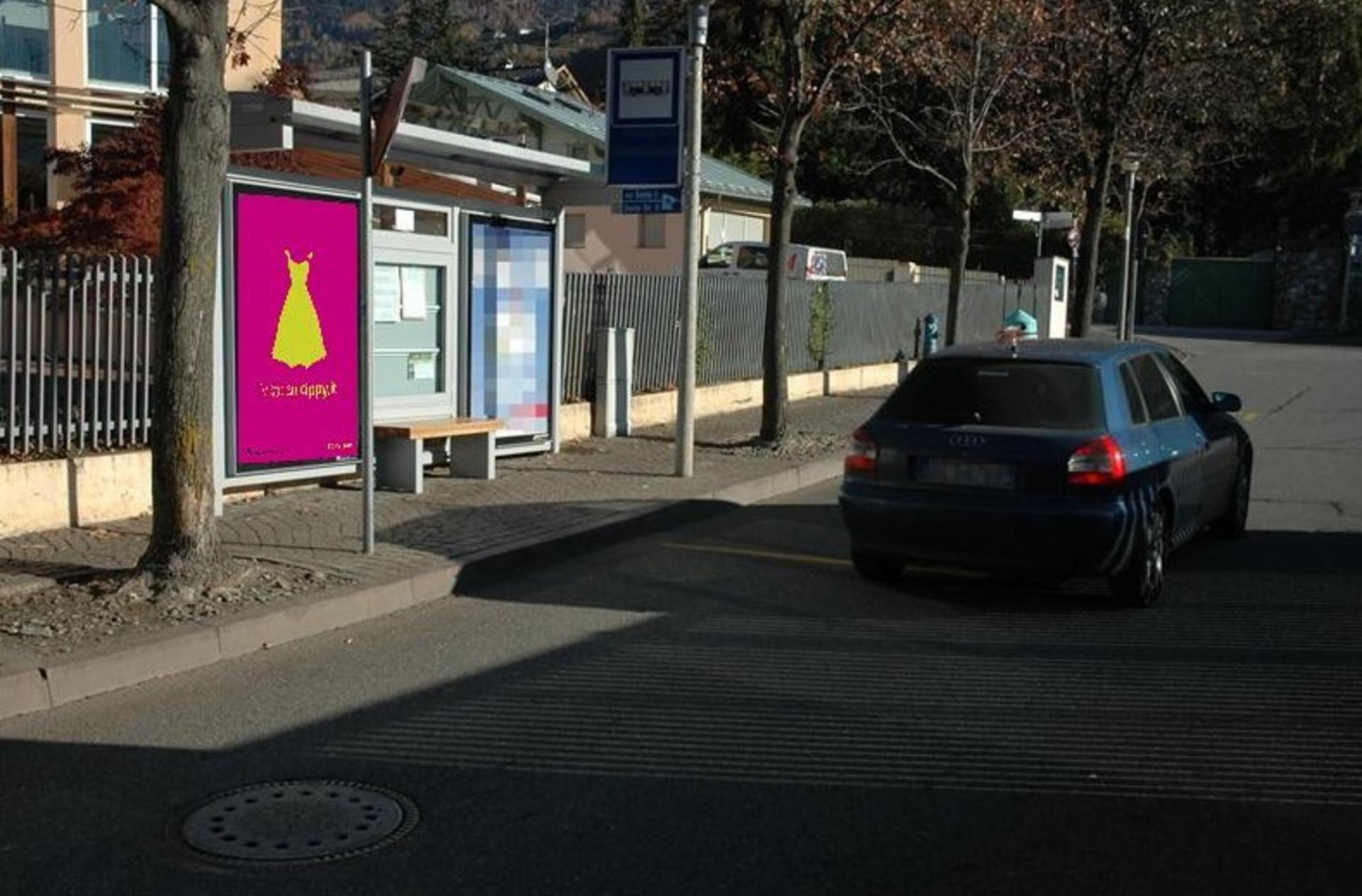 Impianto PENSILINA a Merano, in zona Wollemia nobilis