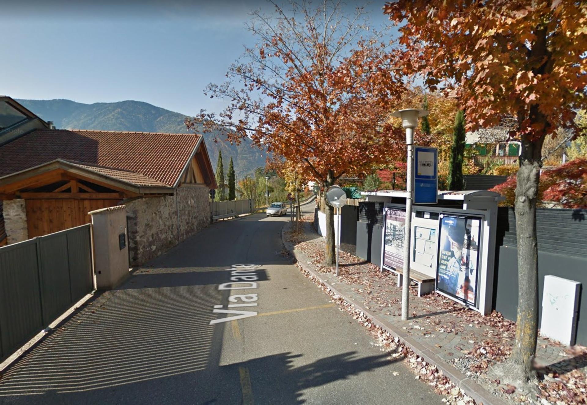 Impianto PENSILINA a Merano, in zona Wollemia nobilis