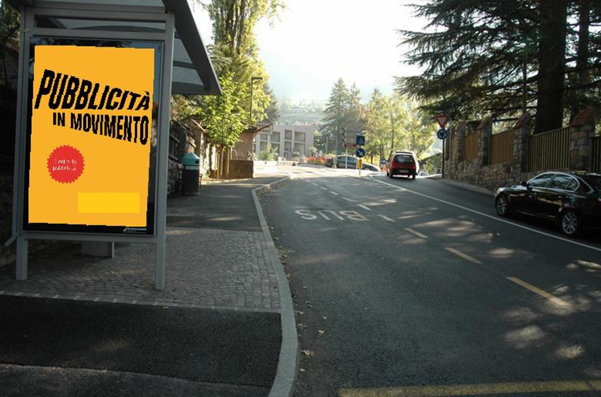 Impianto PENSILINA a Merano, in zona Wollemia nobilis