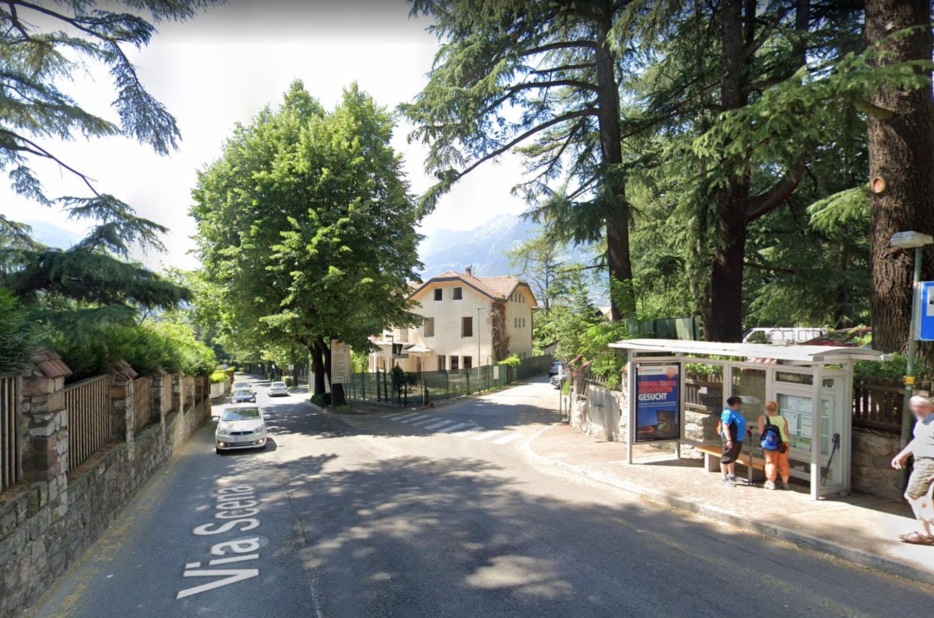 Impianto PENSILINA a Merano, in zona Wollemia nobilis