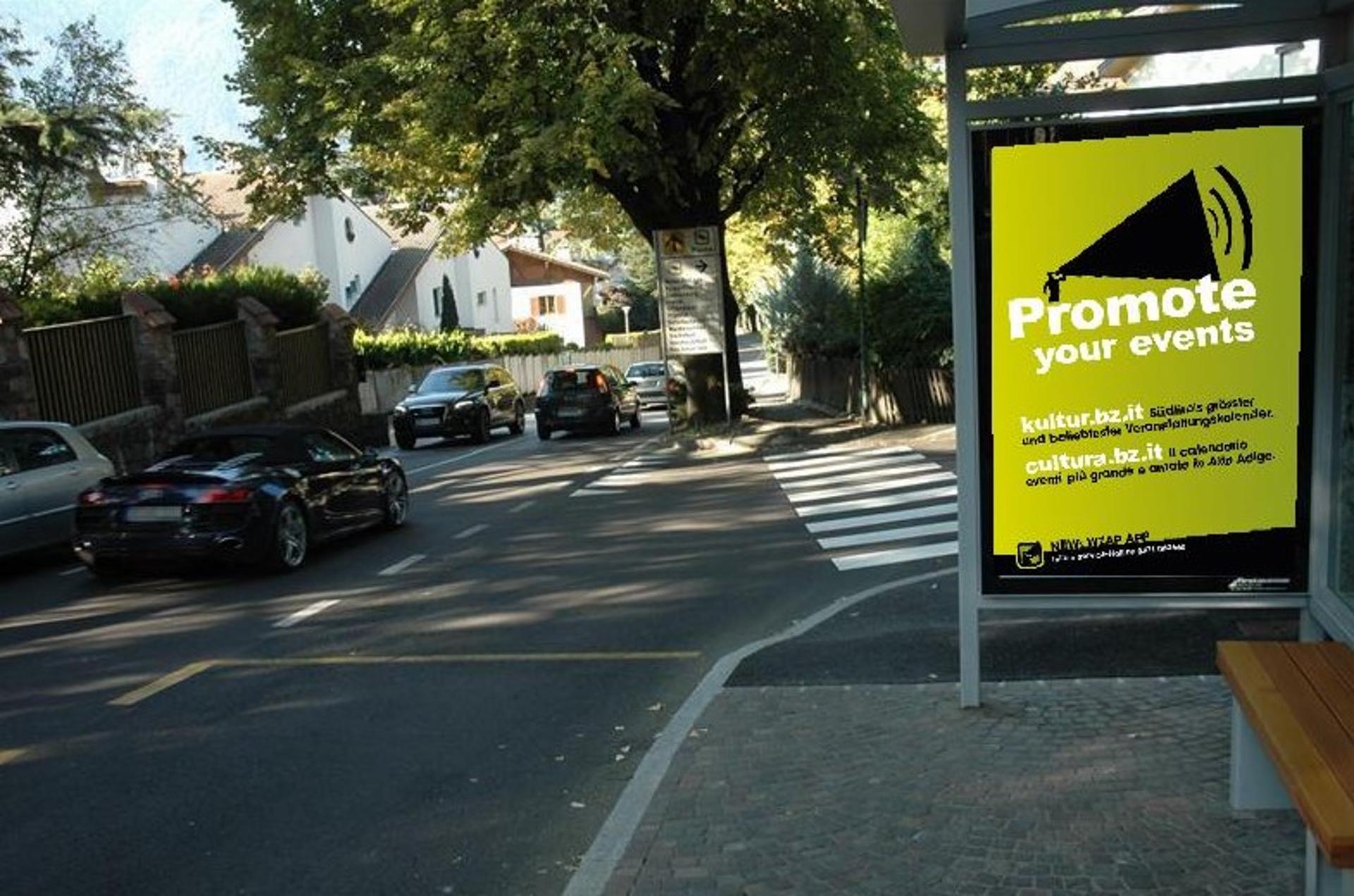 Impianto PENSILINA a Merano, in zona Wollemia nobilis