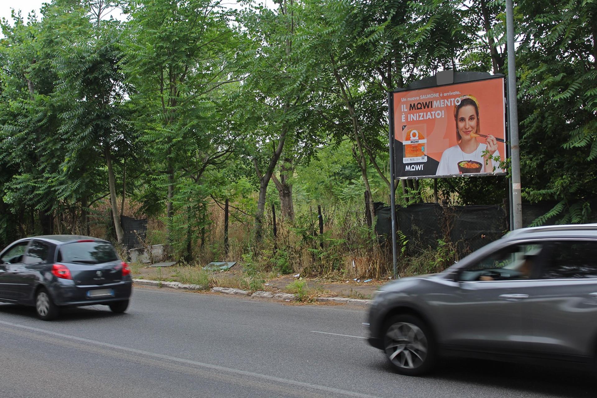 Impianto a VIALE PALMIRO TOGLIATTI - alt. civ. 447 (sx)  Roma