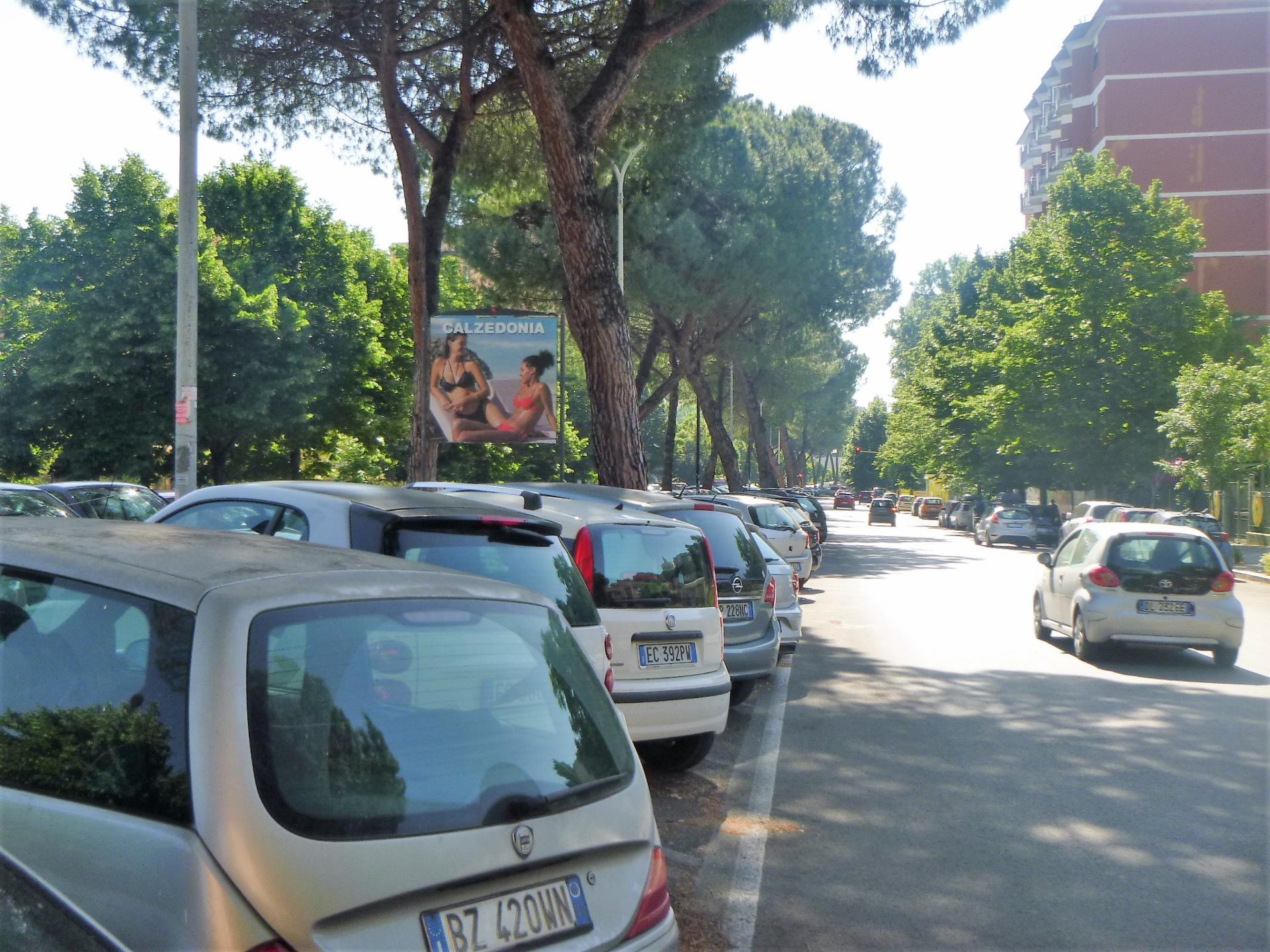 Impianto STENDARDO a Roma, in zona Parruchiere Ettori Équipe