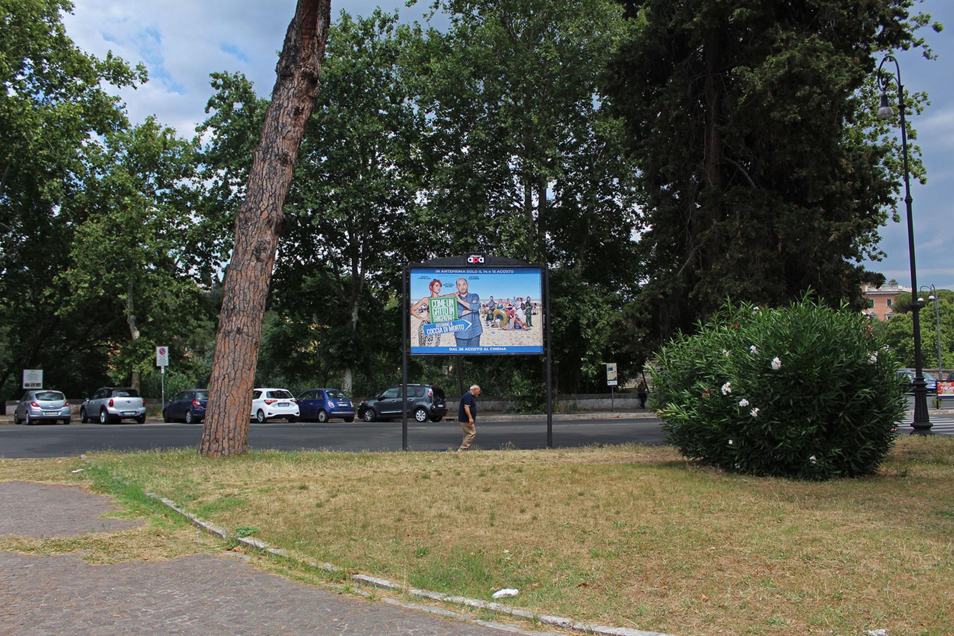 Impianto a PIAZZA MONTE GRAPPA - fr. Ponte Risorgimento  Roma