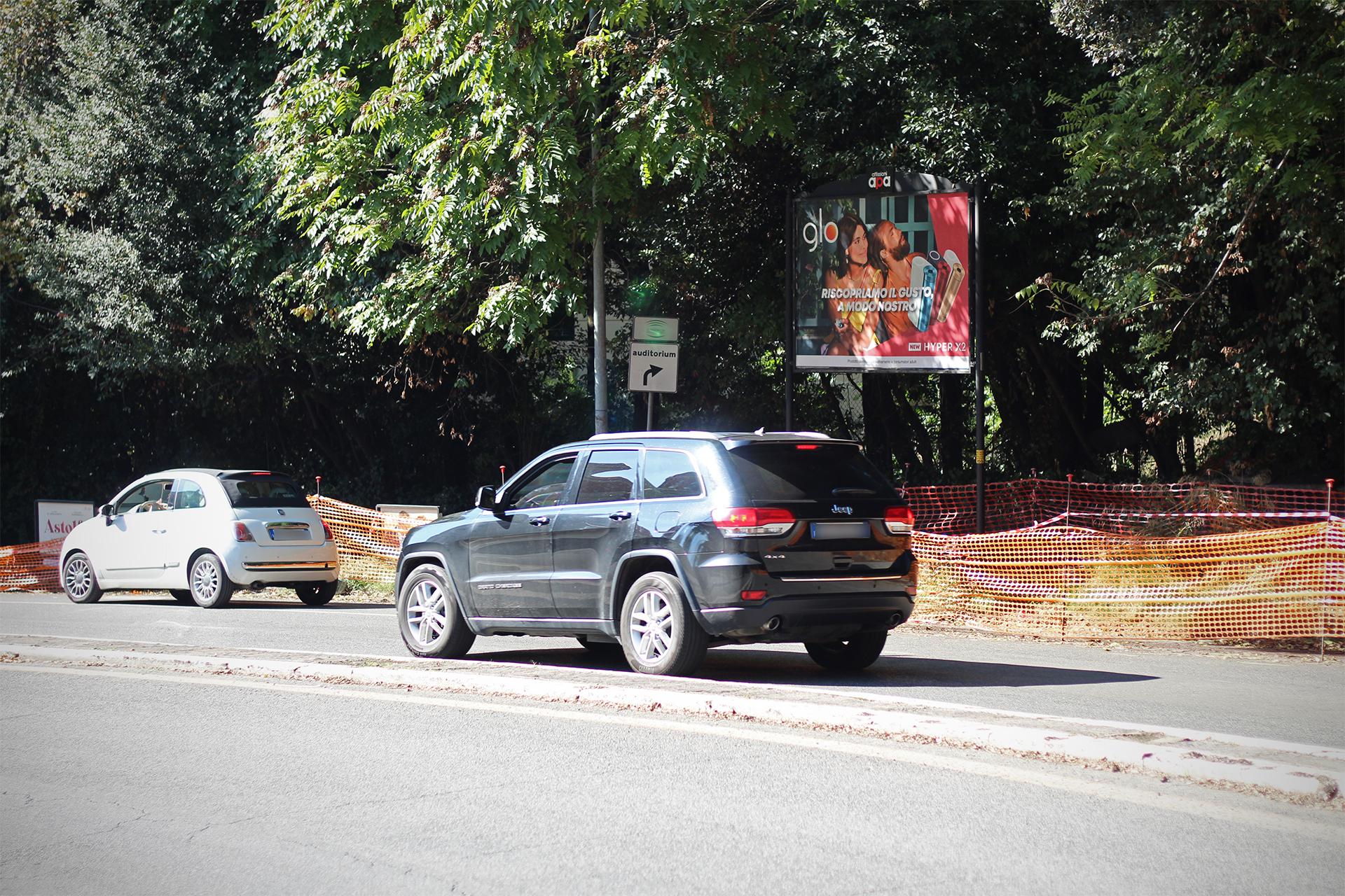 Impianto a VIALE BRUNO BUOZZI - ang. Viale Belle Arti  Roma
