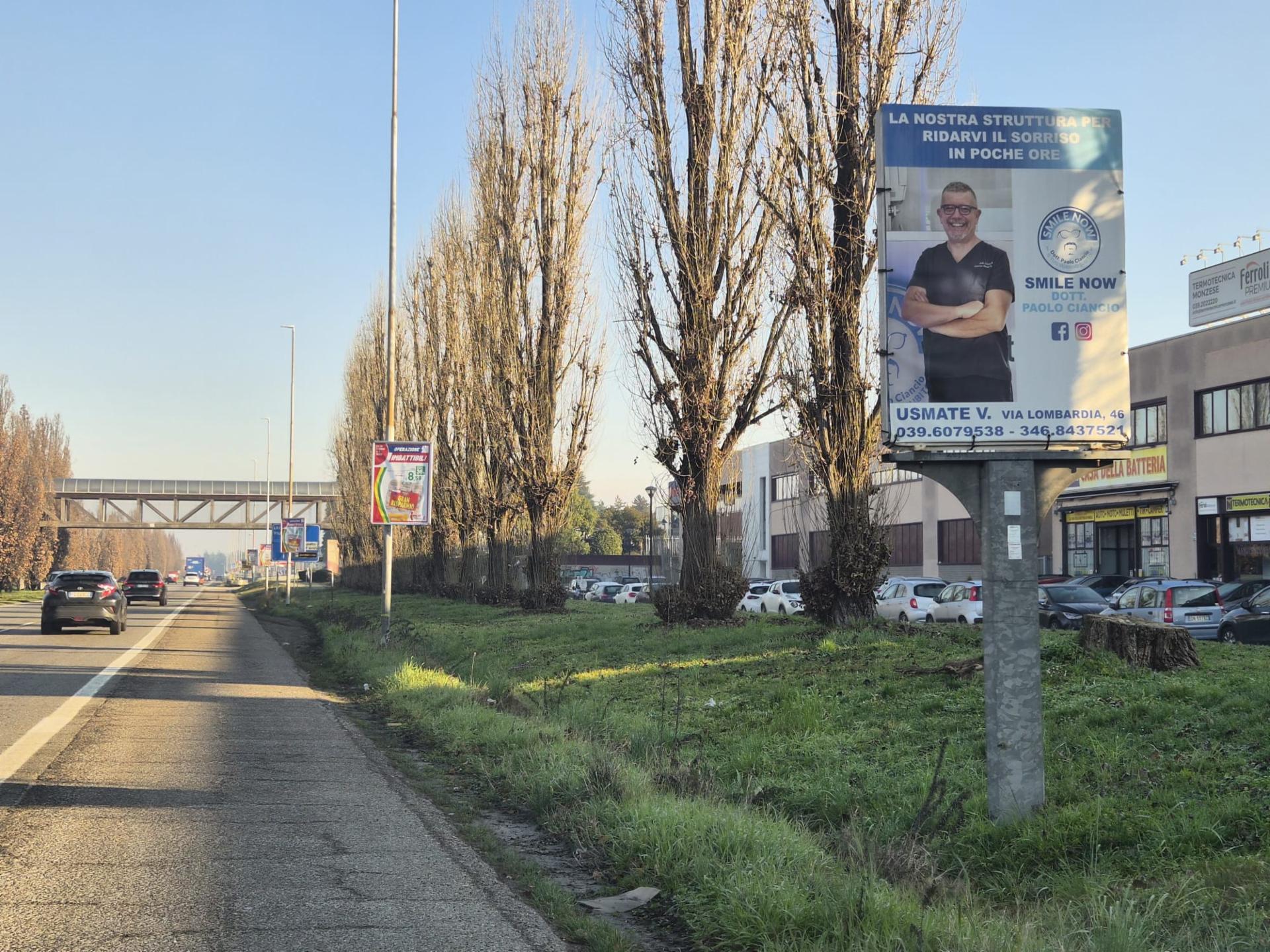 Impianto a Viale Gian Battista Stucchi f.te civ. 62 62/21 Monza