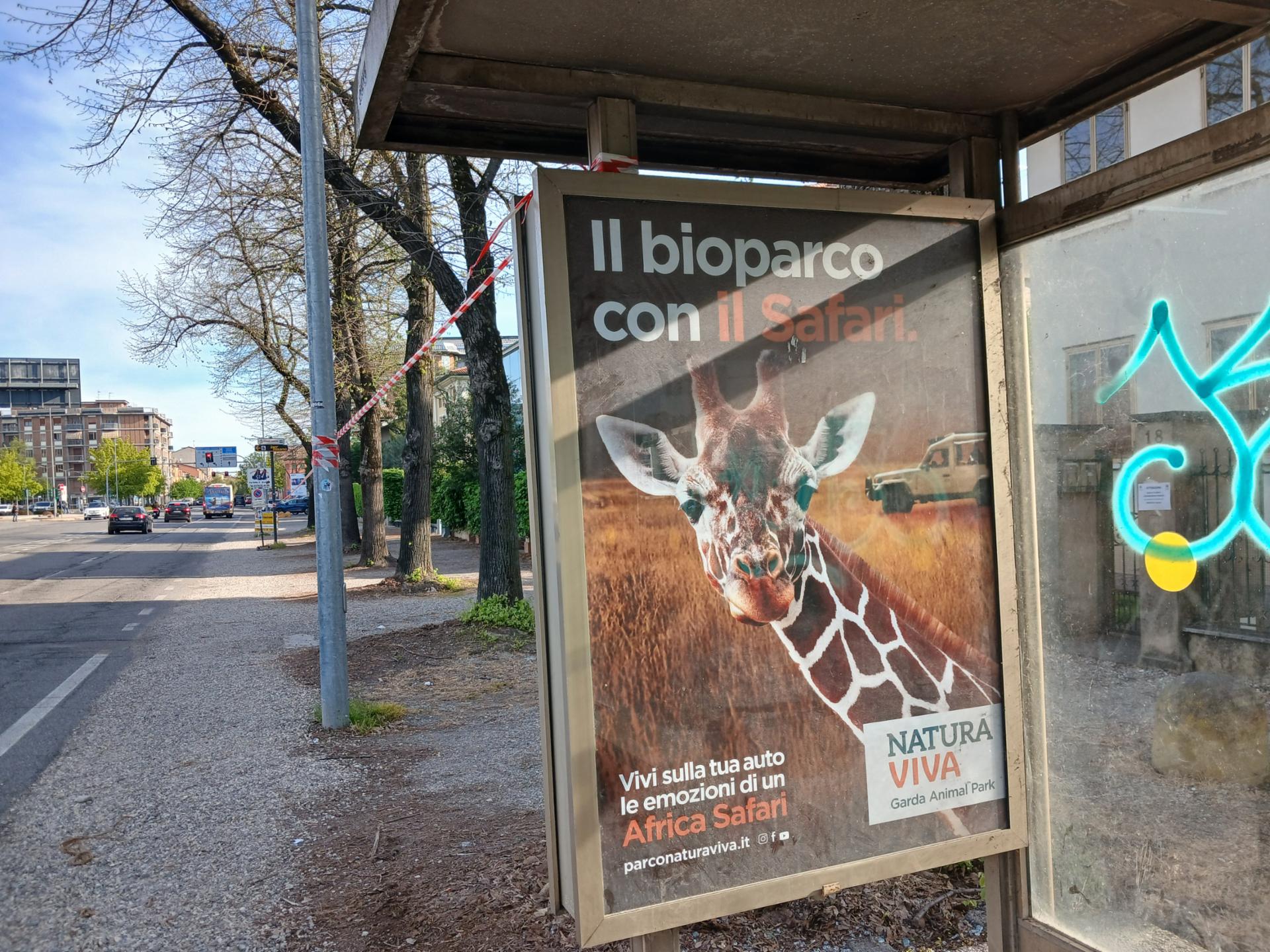 Impianto PENSILINA a Mantova, in zona Santa Caterina