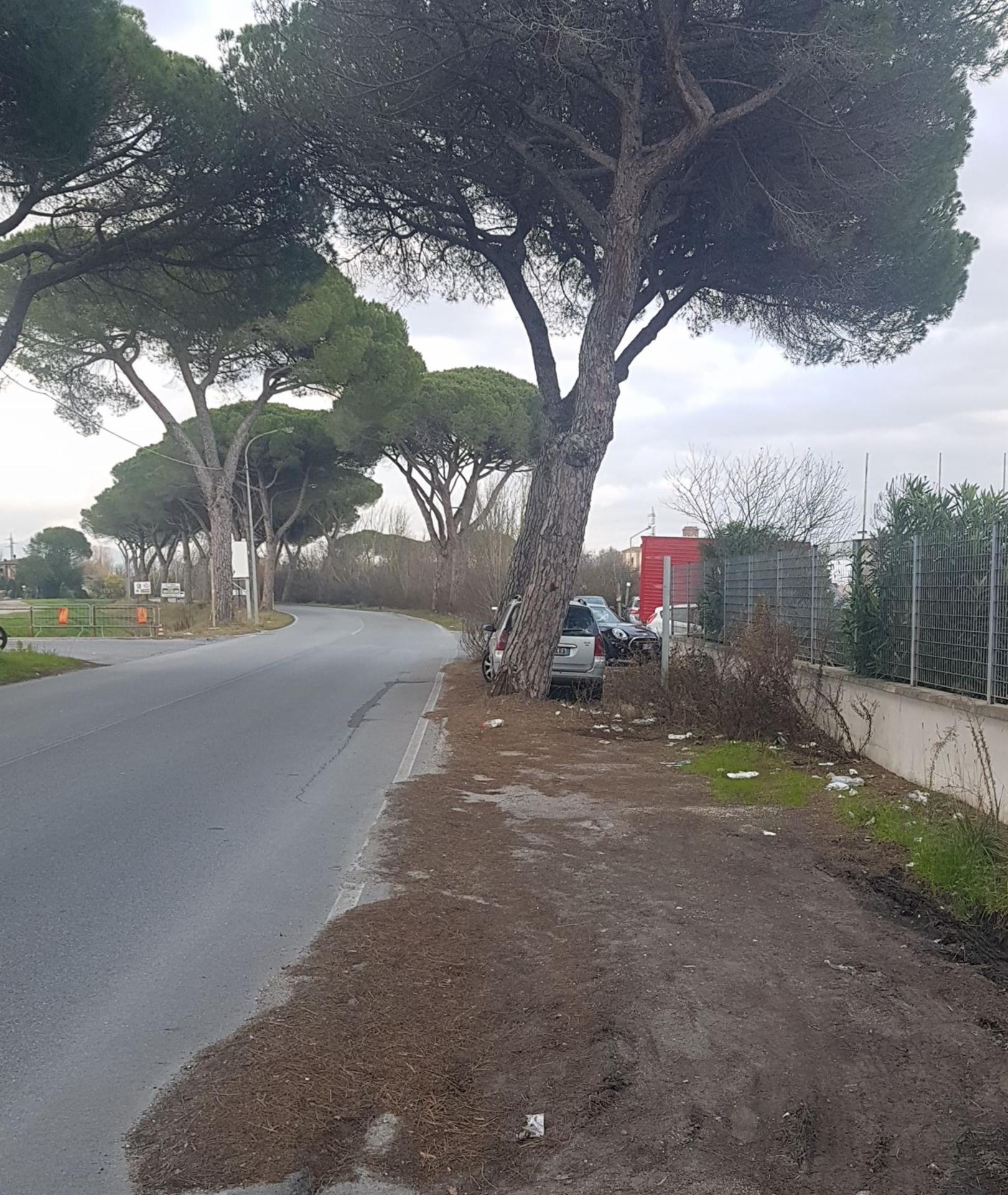 Impianto a VIA PIETRASANTINA MADONNA DELL'ACQUA 19 San Giuliano Terme
