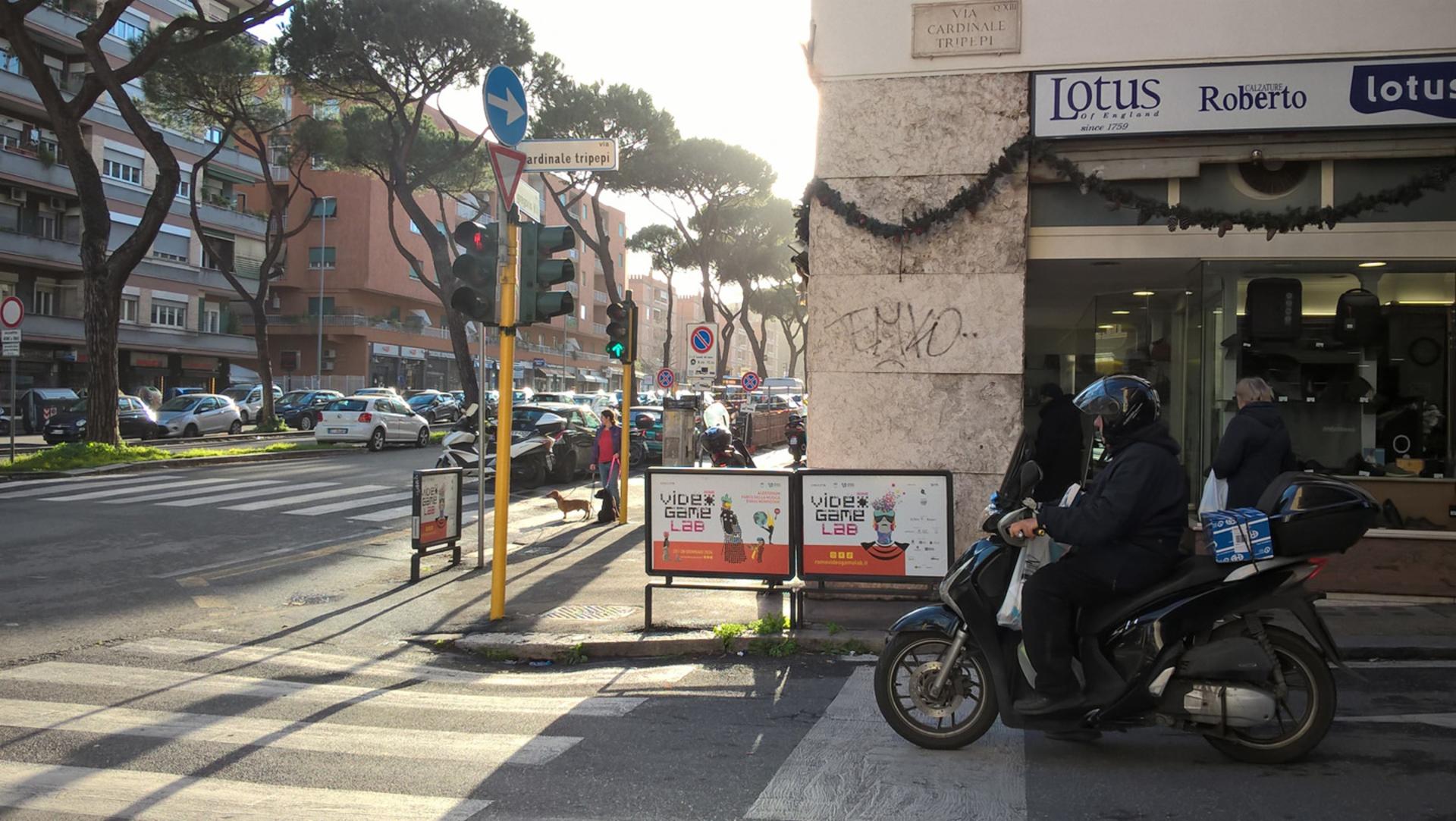 Impianto TRANSENNA a Roma, in zona Rimpizzamose