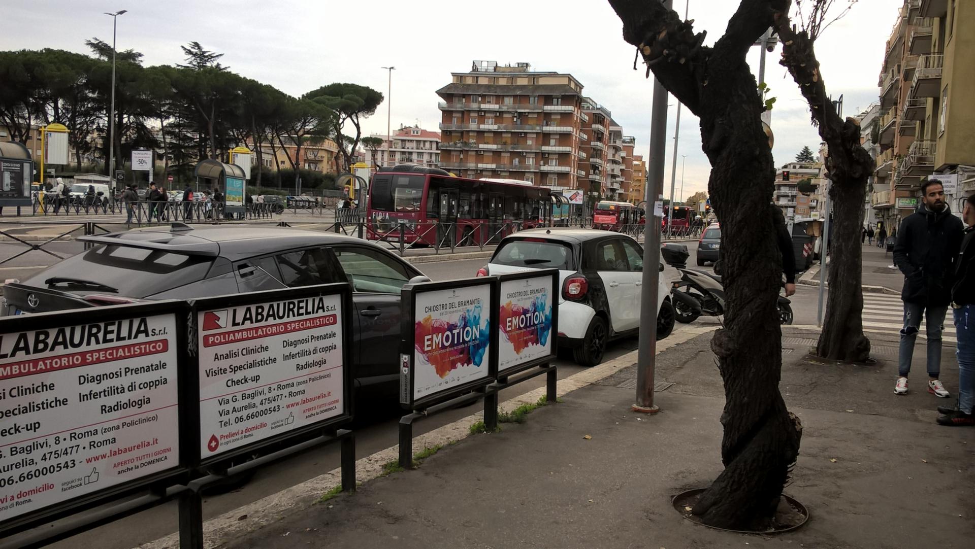 Impianto TRANSENNA a Roma, in zona NaturaSì