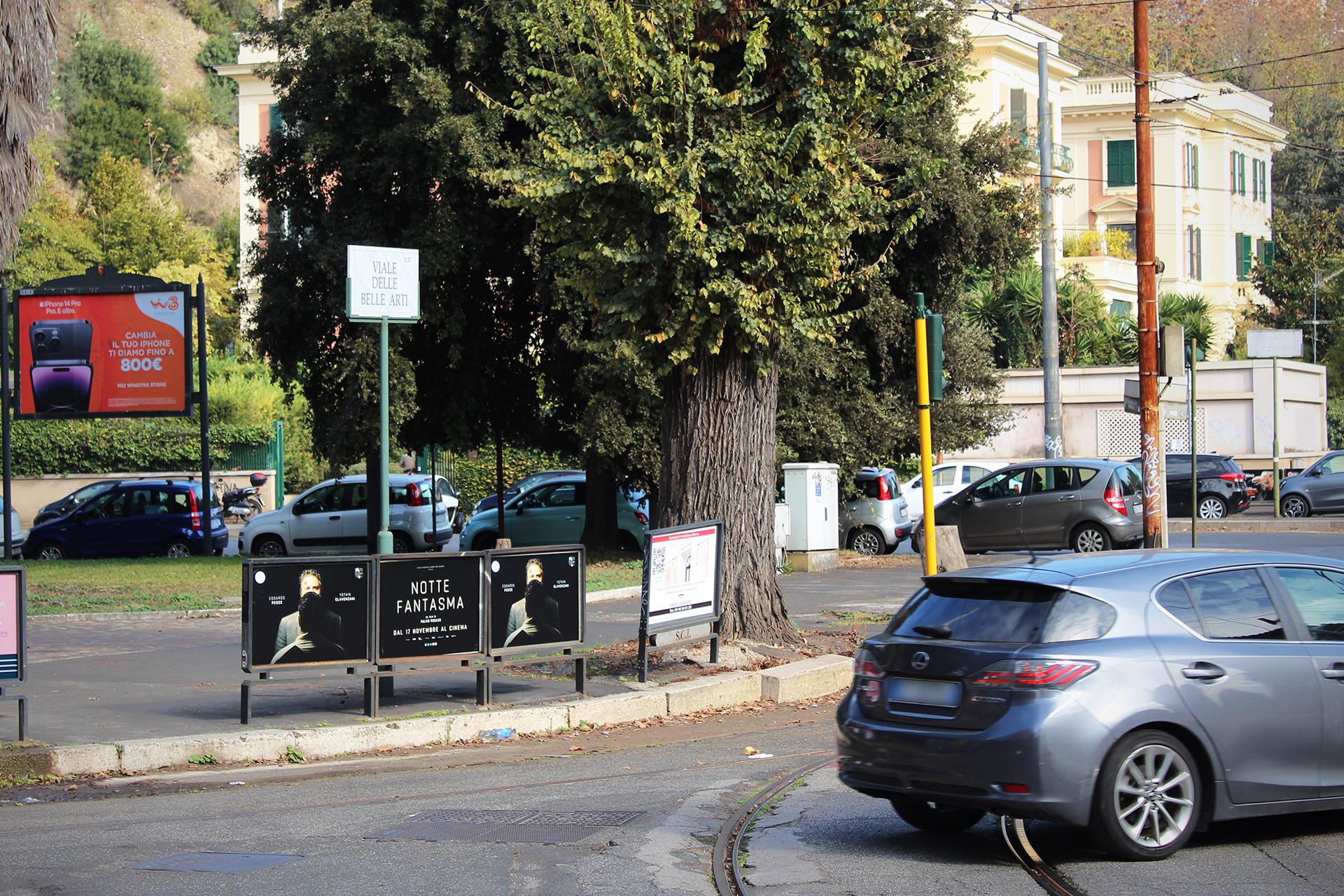 Impianto TRANSENNA a Roma, in zona Il Buchetto