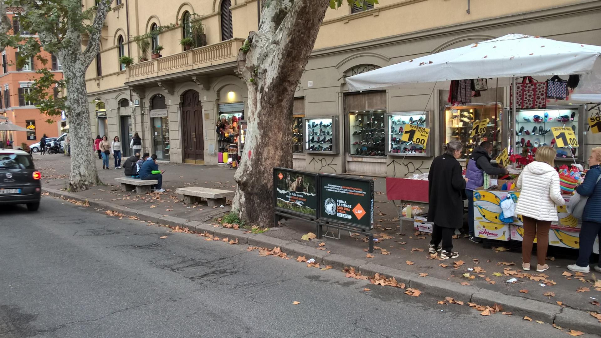 Impianto a VIALE TRASTEVERE - ang. Via Merry del Val (lt. Sud, sx)  Roma
