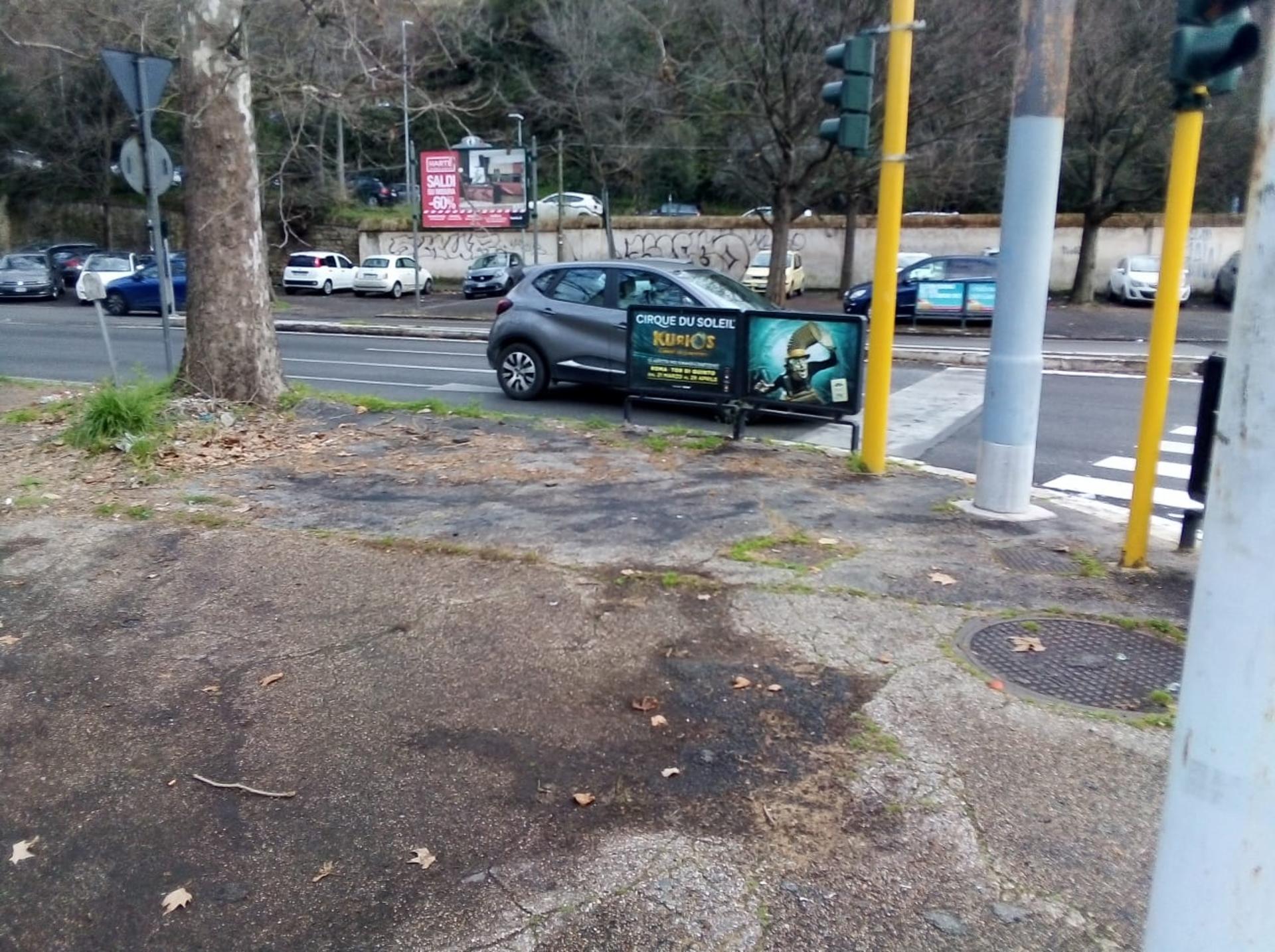 Impianto a VIALE MARESCIALLO PILSUDSKI - ang. Piazzale Ankara (dx)  Roma