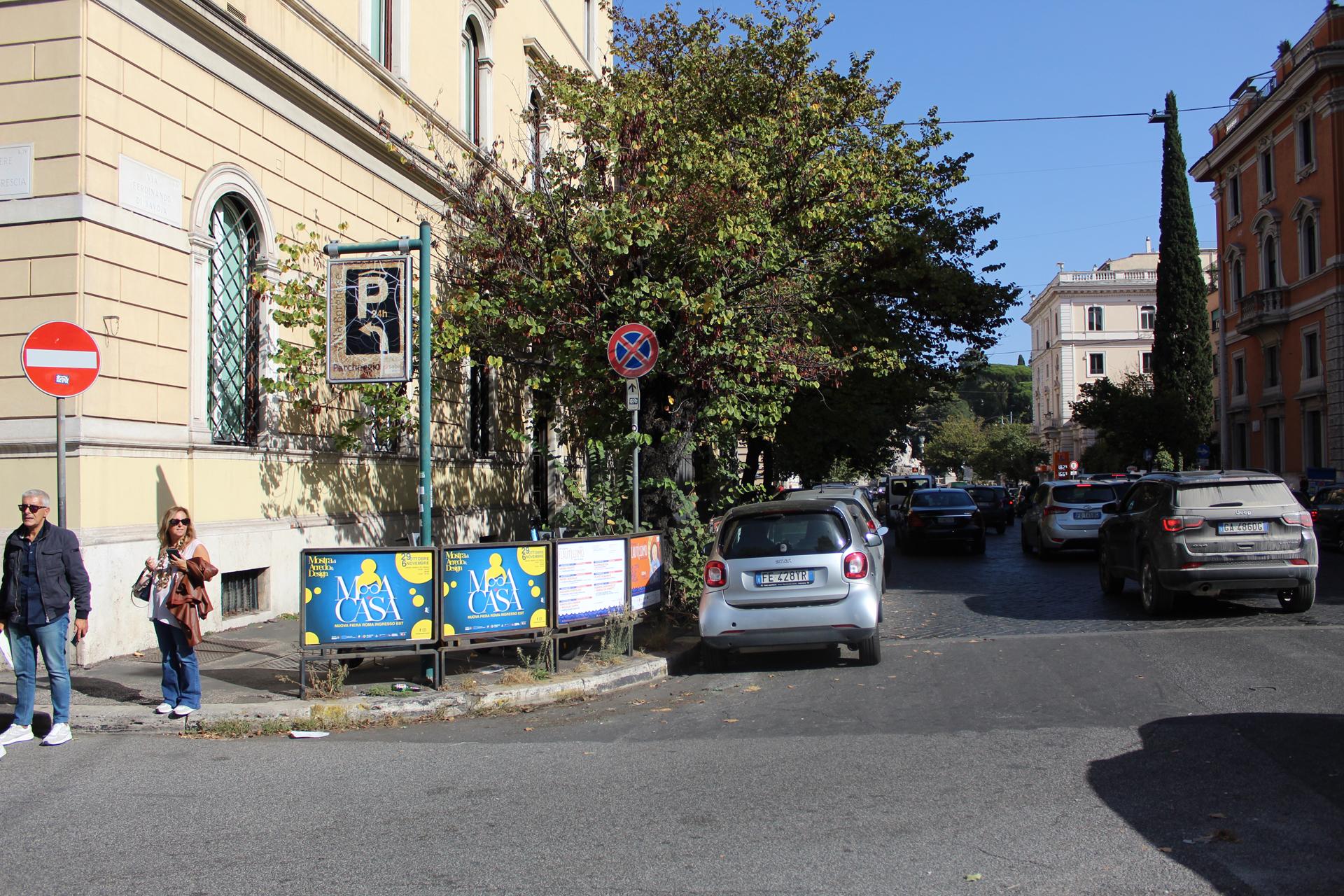 Impianto a VIA FERDINANDO DI SAVOIA - ang. Lungotevere A. da Brescia  Roma