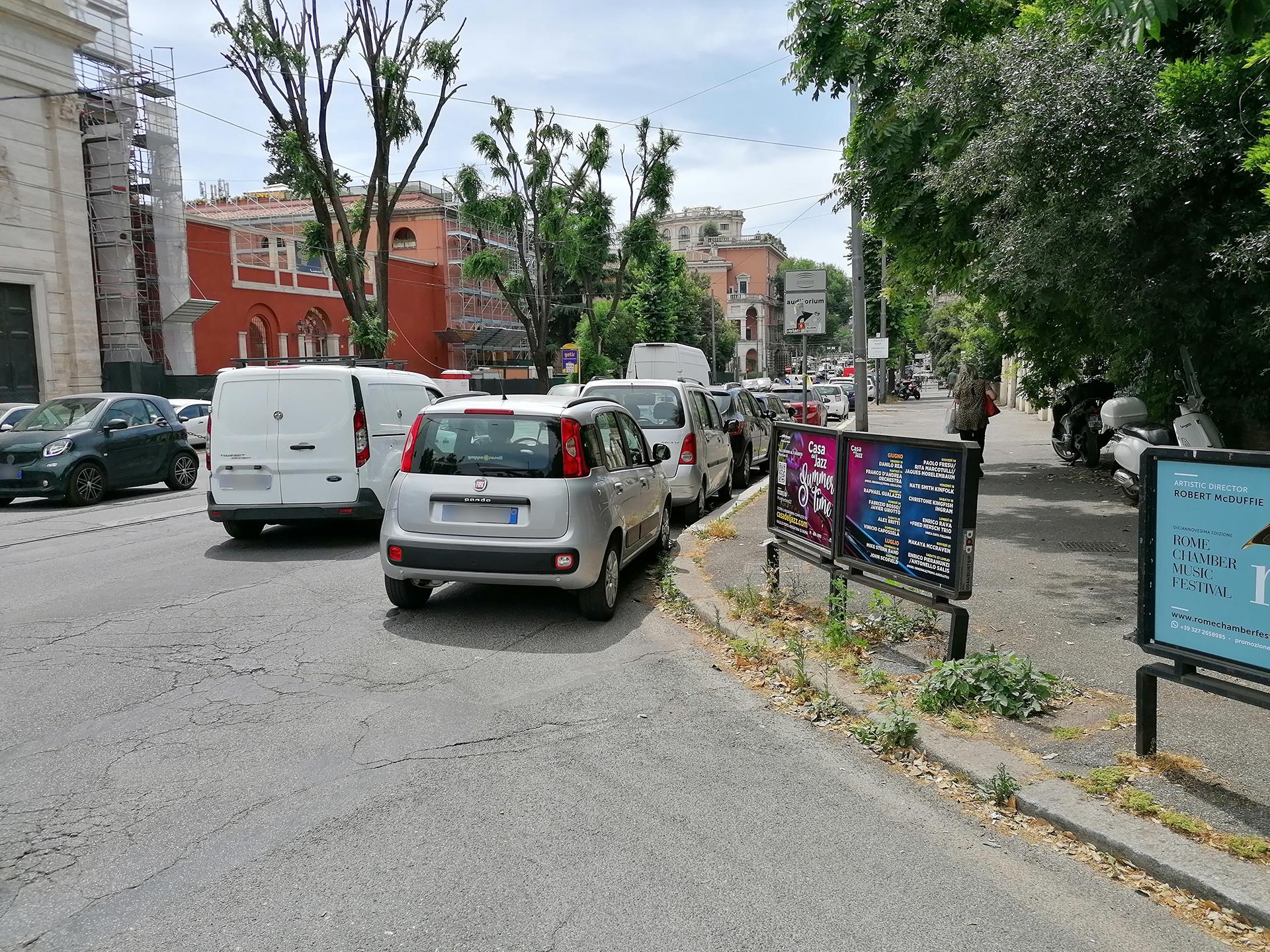 Impianto TRANSENNA a Roma, in zona Il Buchetto