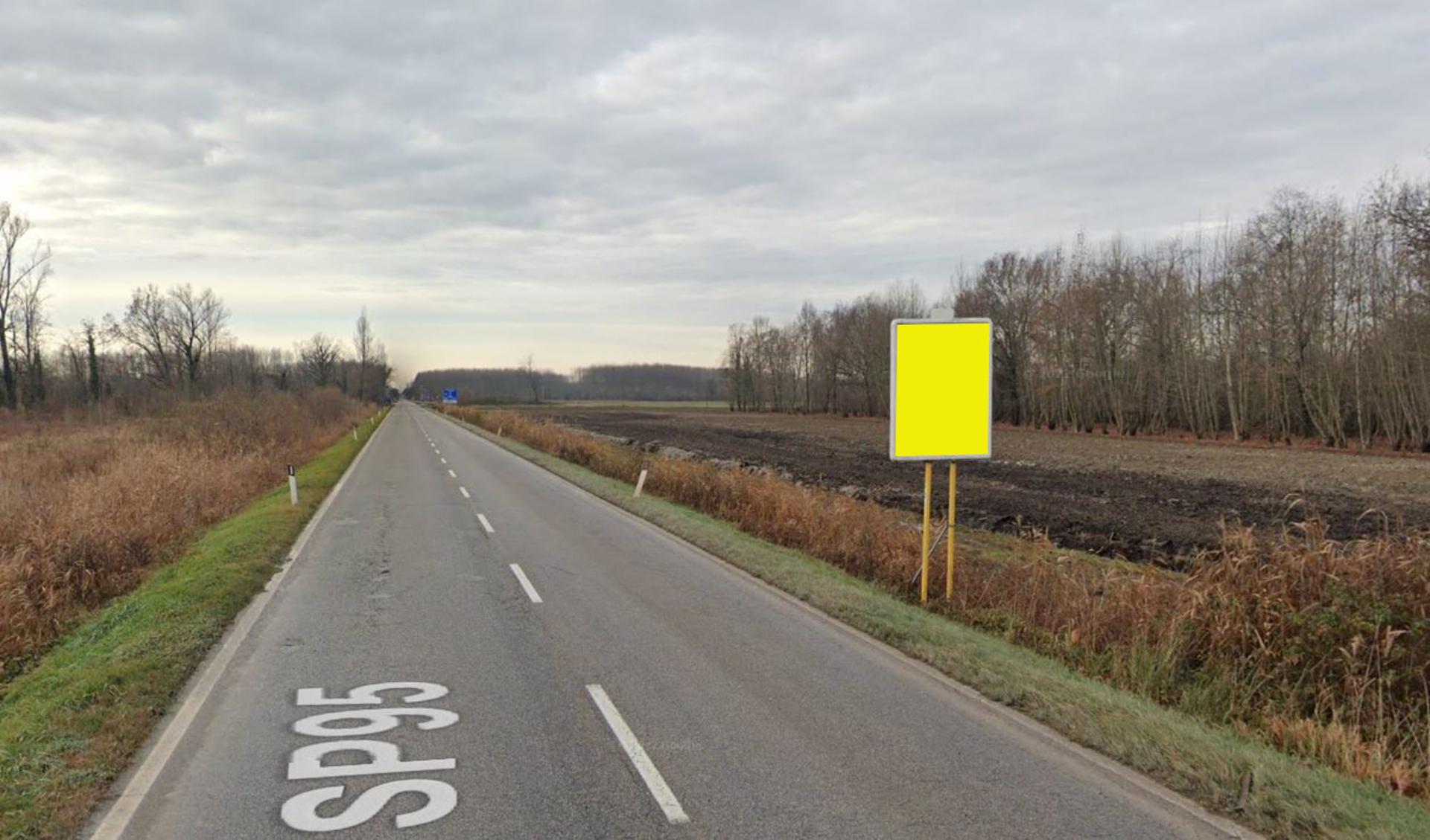 Impianto a SR95 UD KM 8+364 SX  SR 95 UD DI MANDRISIO KM 8+364 SX  Bertiolo