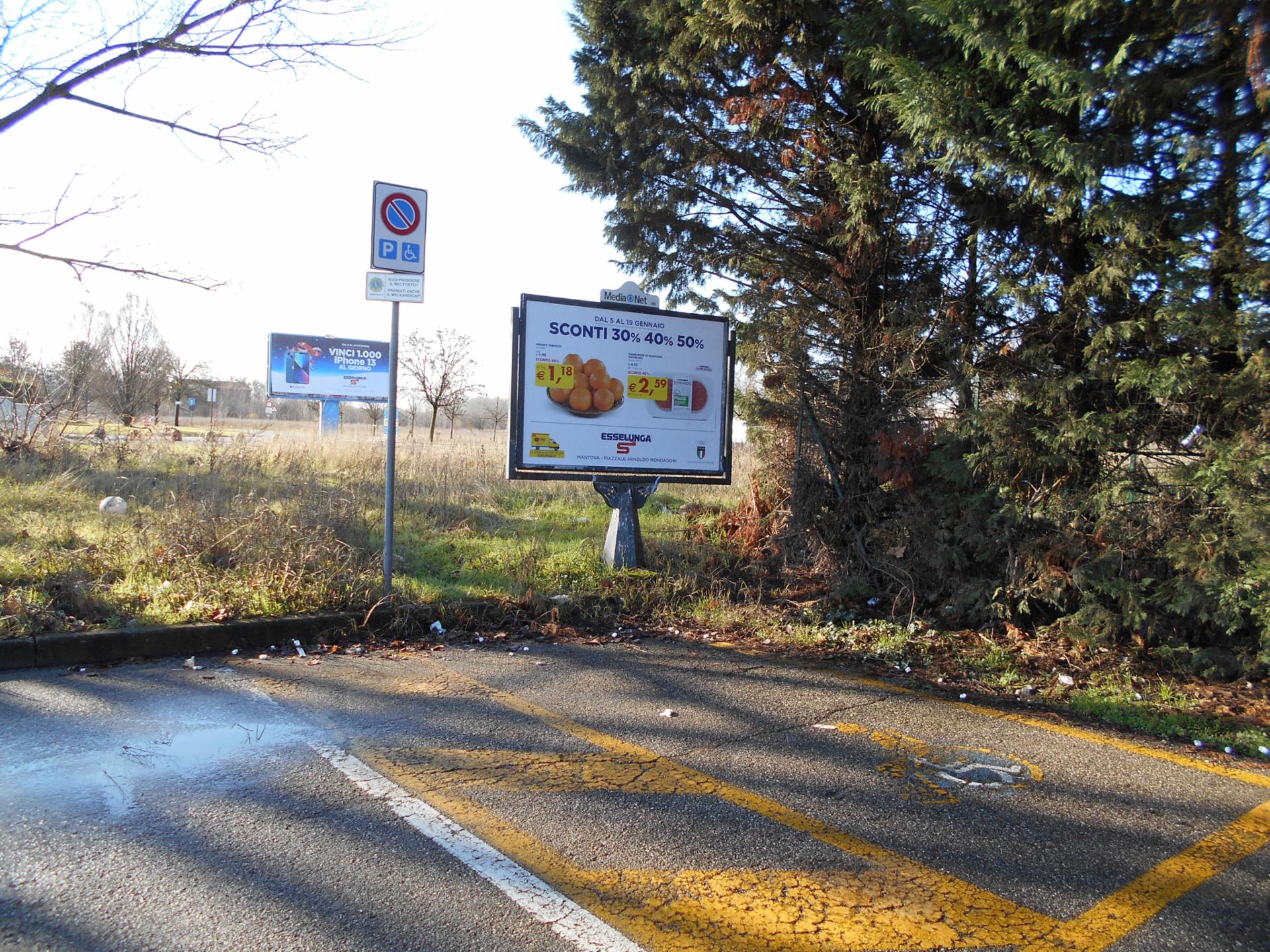 Impianto STENDARDO a Mantova, in zona Palazzo Te