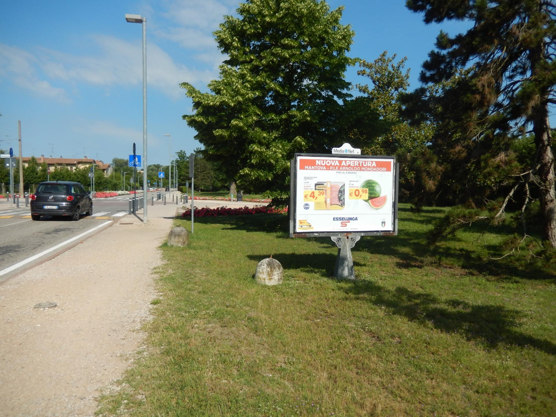 Impianto STENDARDO a Mantova, in zona Bar Palazzo Te