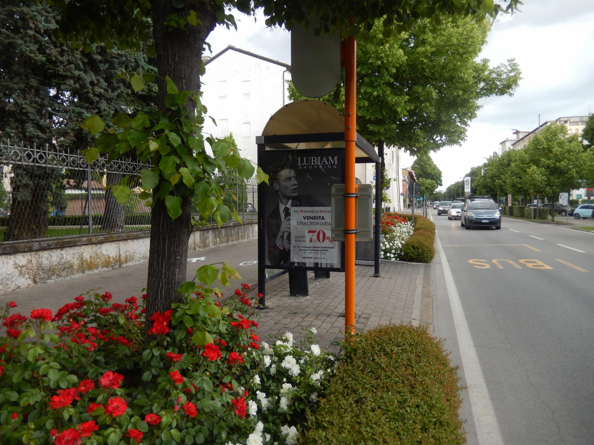 Impianto a VIALE REPUBBLICA 1B/3  Mantova