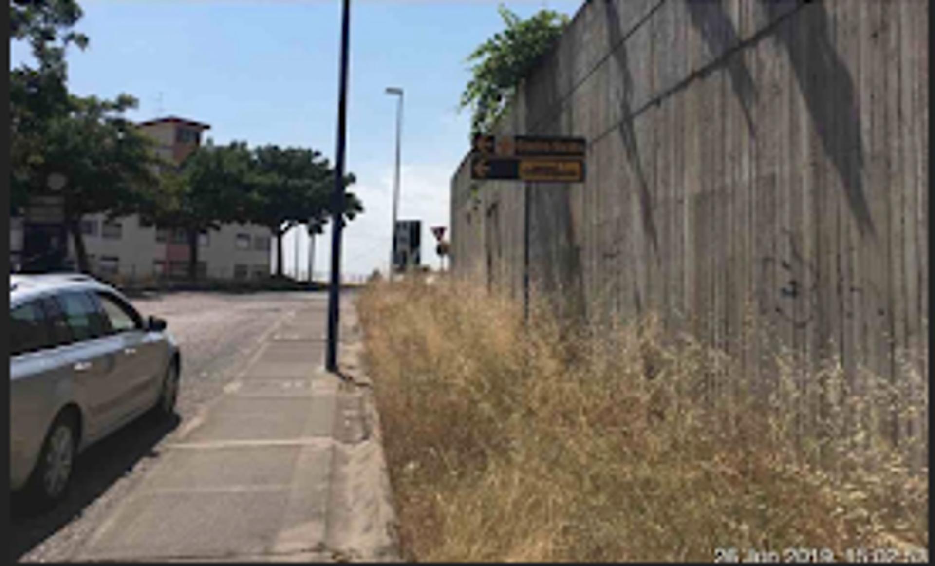 Impianto a VIALE s. biagio pecorino _ innesto sp. 54  Catania