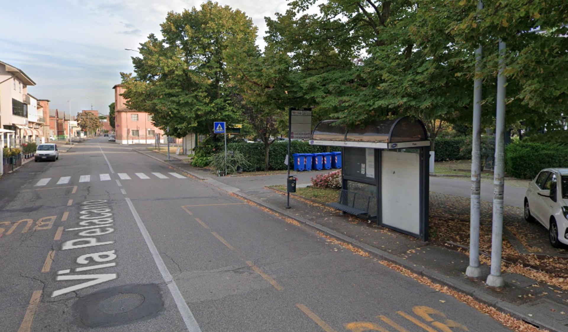 Impianto a VIA PELACANO LATO CNA                  259/1  Forlì