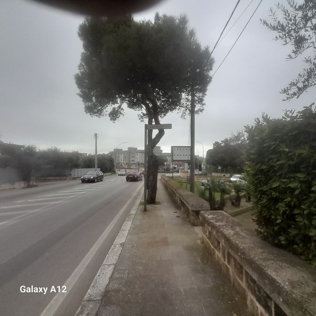 Impianto FRECCE / PREINSEGNE a Mottola, in zona Sale & Pepe