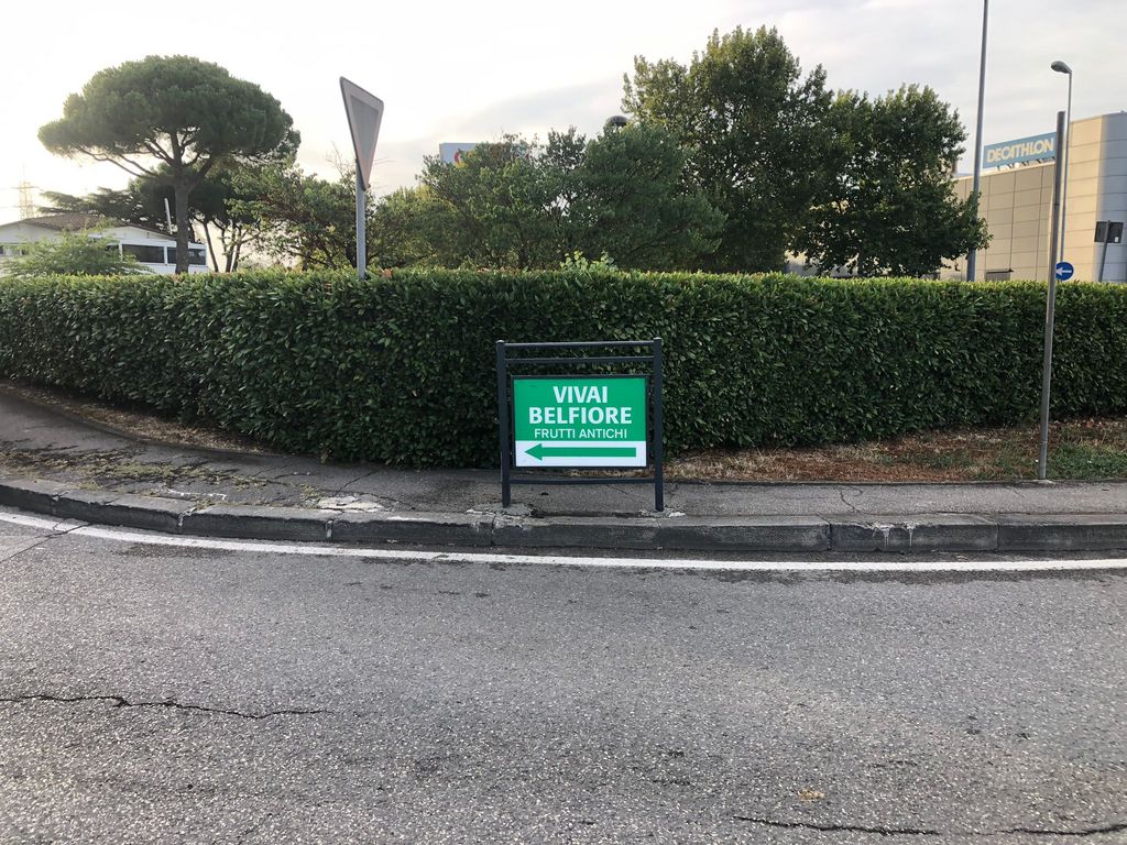 Impianto TRANSENNA a Lastra a Signa, in zona Officina del Gusto