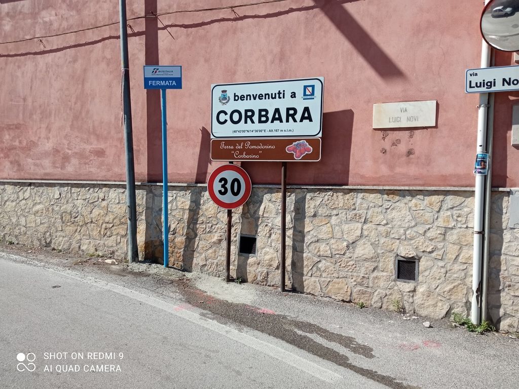 Impianto PALINA a Corbara, in zona Agriturismo La Grotta