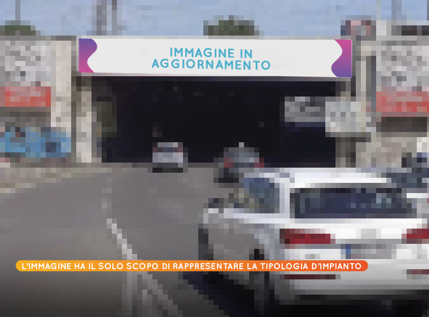 Tipologia PONTE a Grugliasco, nei pressi di Mucca Pazza